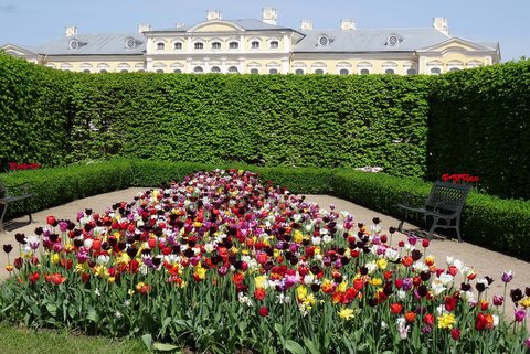 13.05. | Rundāles pils tulpju dārzs, Bauskas svētki un ciemos pie Igo - Ceplis!
